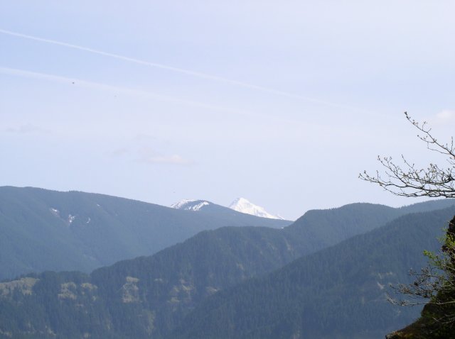 4.30.06 Hamilton Mountain 055 